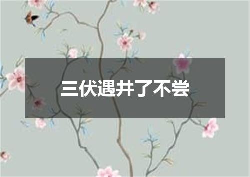 三伏遇井了不尝