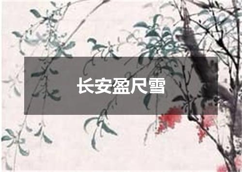 长安盈尺雪