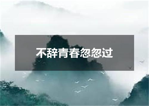 不辞青春忽忽过