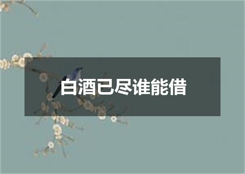 白酒已尽谁能借