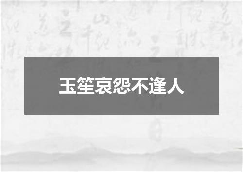 玉笙哀怨不逢人
