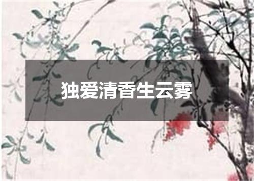 独爱清香生云雾