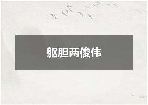躯胆两俊伟