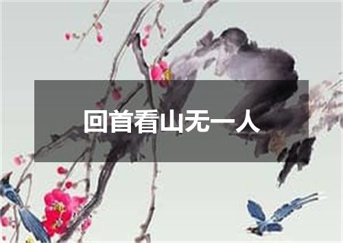 回首看山无一人