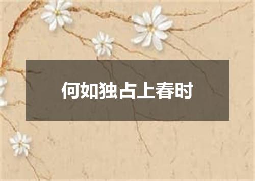 何如独占上春时