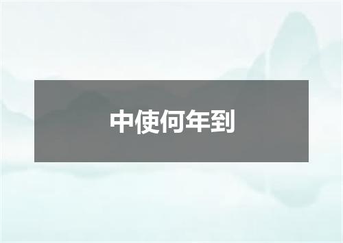 中使何年到