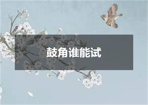 鼓角谁能试