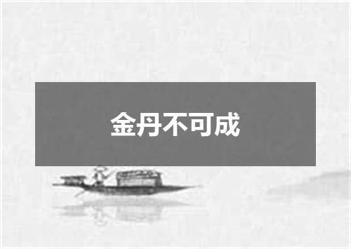 金丹不可成