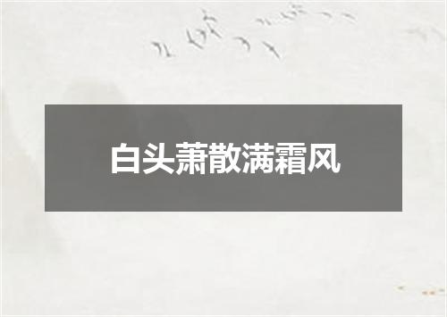 白头萧散满霜风