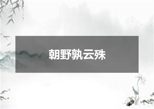 朝野孰云殊