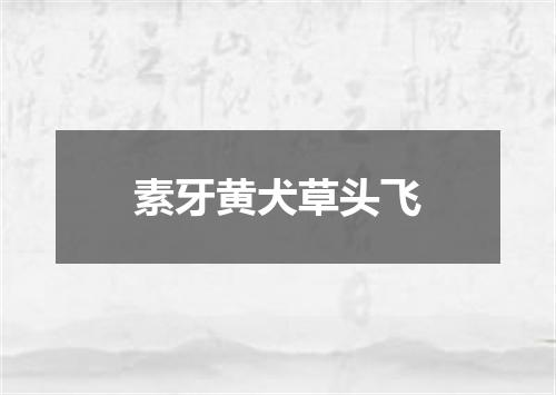 素牙黄犬草头飞