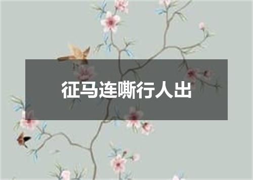 征马连嘶行人出