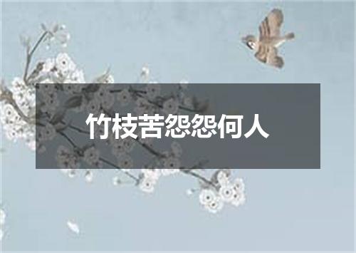 竹枝苦怨怨何人