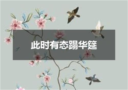 此时有态蹋华筵