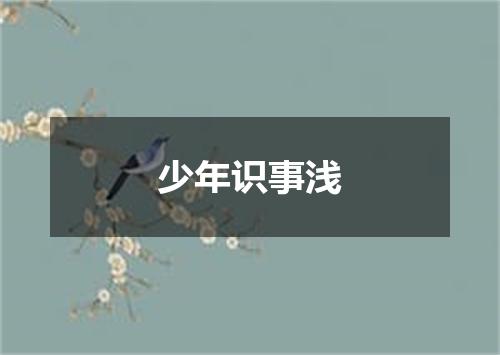 少年识事浅