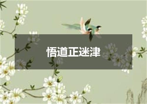 悟道正迷津