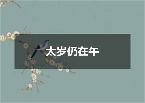 太岁仍在午