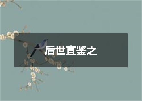 后世宜鉴之