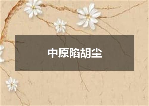 中原陷胡尘