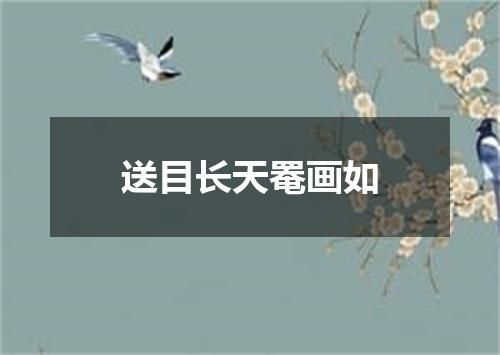 送目长天罨画如