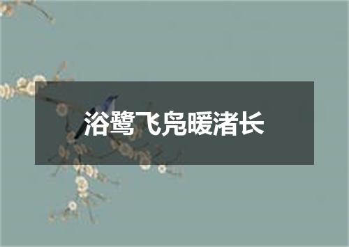 浴鹭飞凫暖渚长