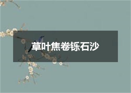 草叶焦卷铄石沙