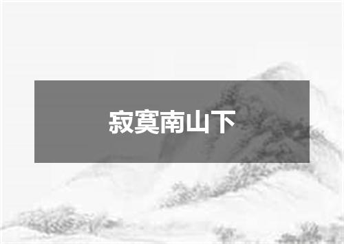 寂寞南山下