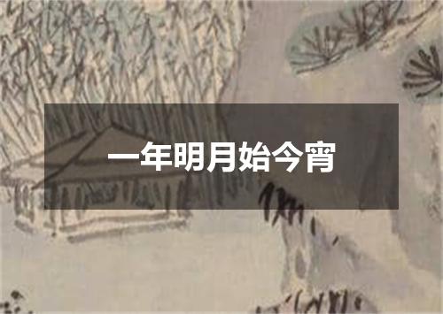 一年明月始今宵