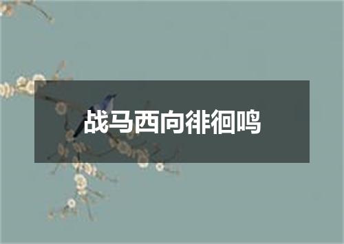 战马西向徘徊鸣