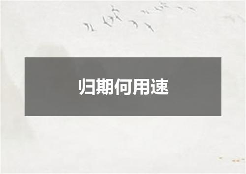 归期何用速