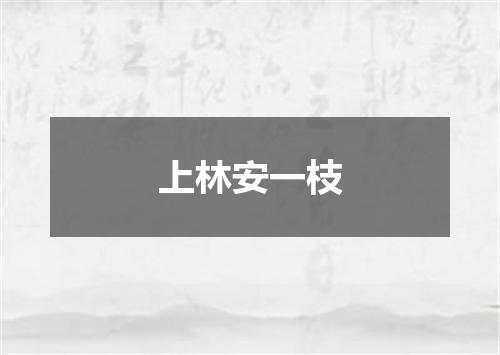 上林安一枝