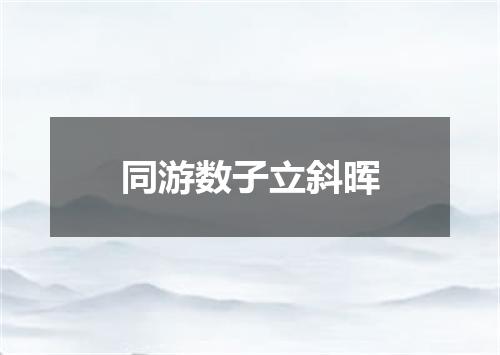 同游数子立斜晖