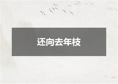 还向去年枝