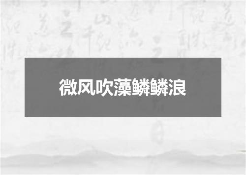 微风吹藻鳞鳞浪