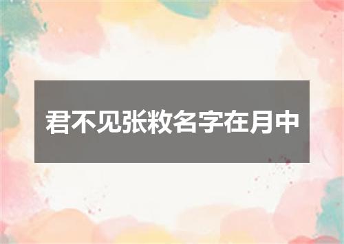 君不见张敉名字在月中