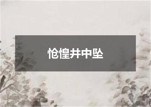 怆惶井中坠
