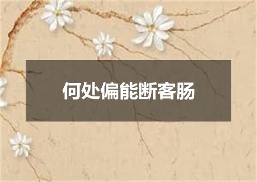 何处偏能断客肠