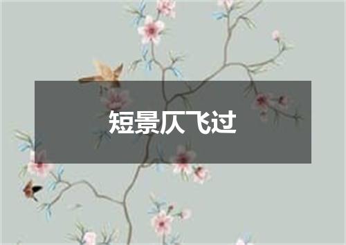 短景仄飞过