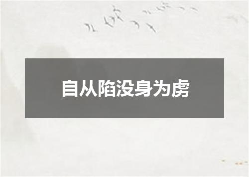 自从陷没身为虏