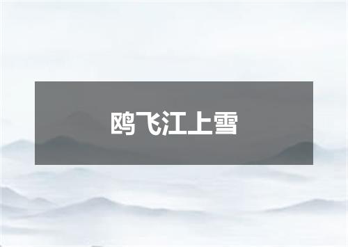 鸥飞江上雪