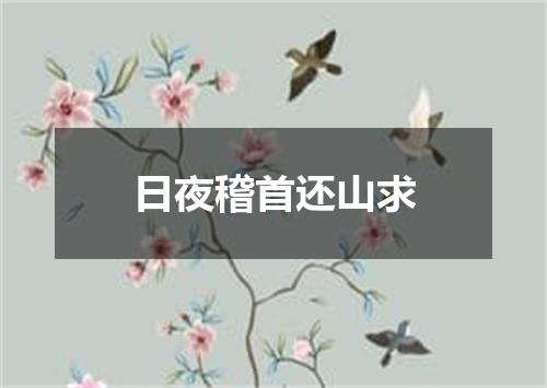 日夜稽首还山求