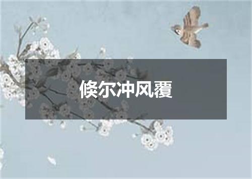 倏尔冲风覆