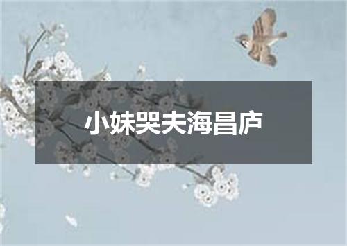 小妹哭夫海昌庐
