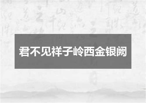 君不见祥子岭西金银阙