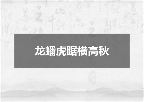 龙蟠虎踞横高秋
