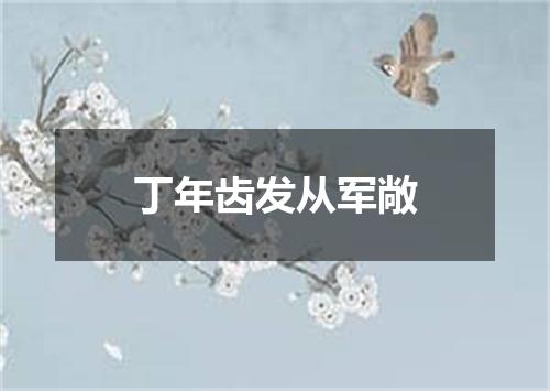 丁年齿发从军敞