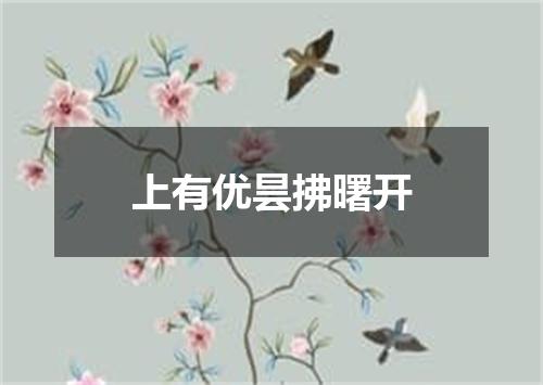 上有优昙拂曙开