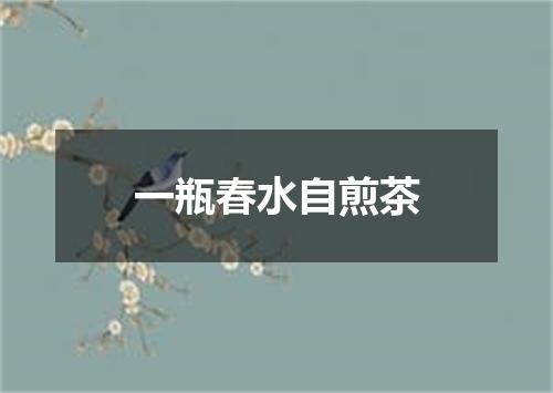 一瓶春水自煎茶