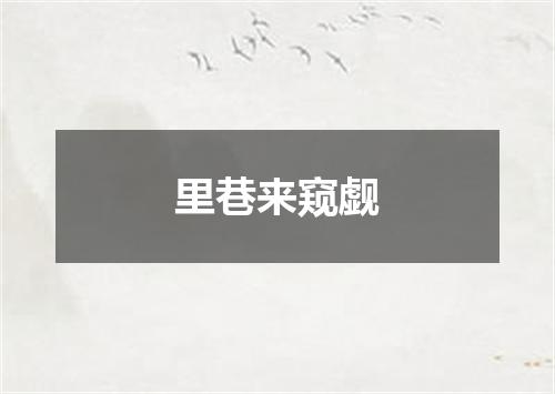 里巷来窥觑