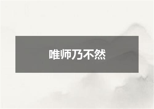 唯师乃不然